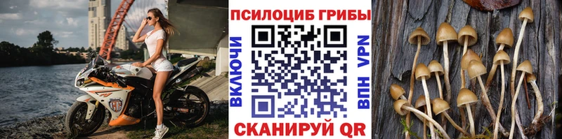 Галлюциногенные грибы ЛСД  купить  сайты  гидра вход  Урень 